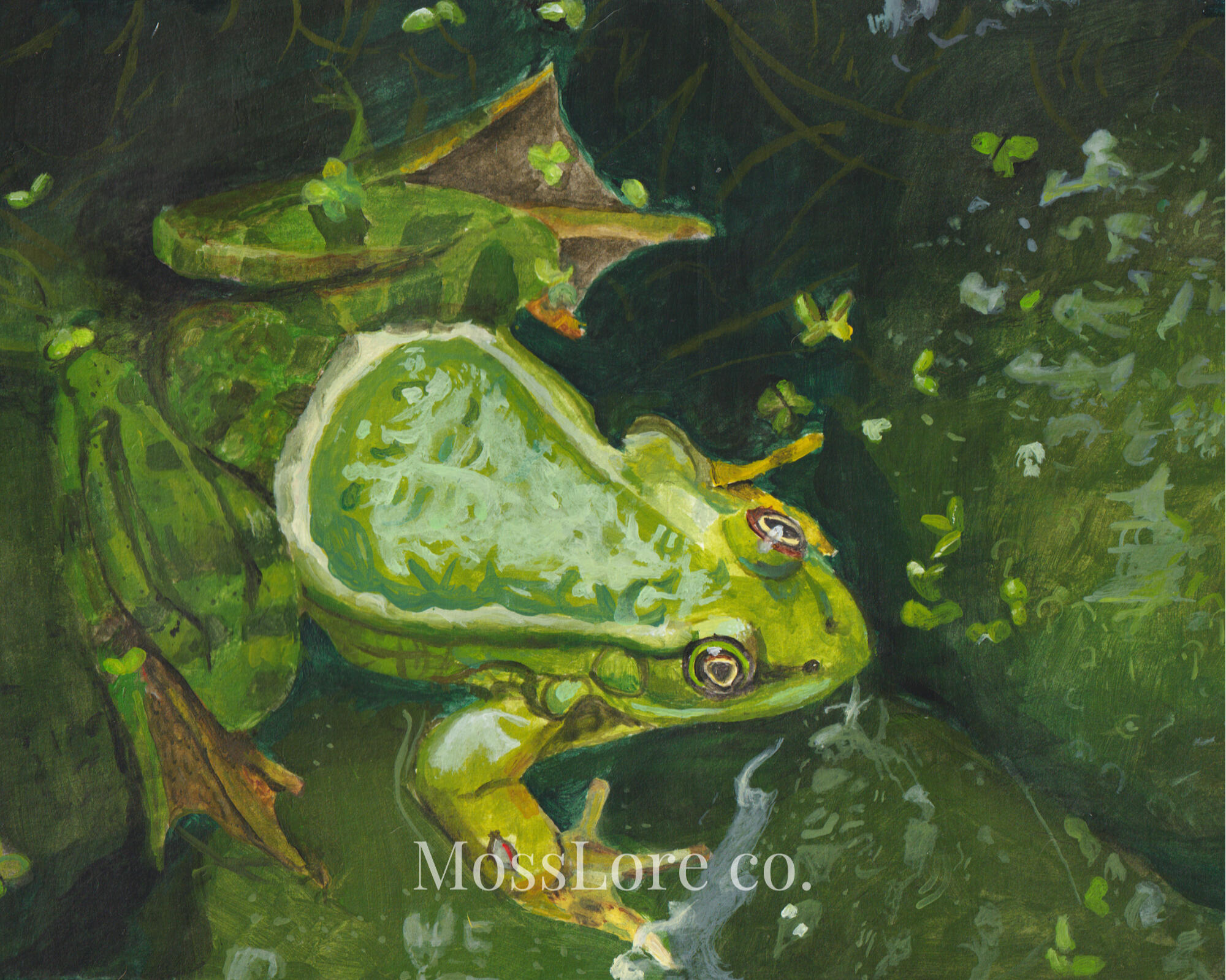 Frog 8" x 10" Acrylic on watercolor paper