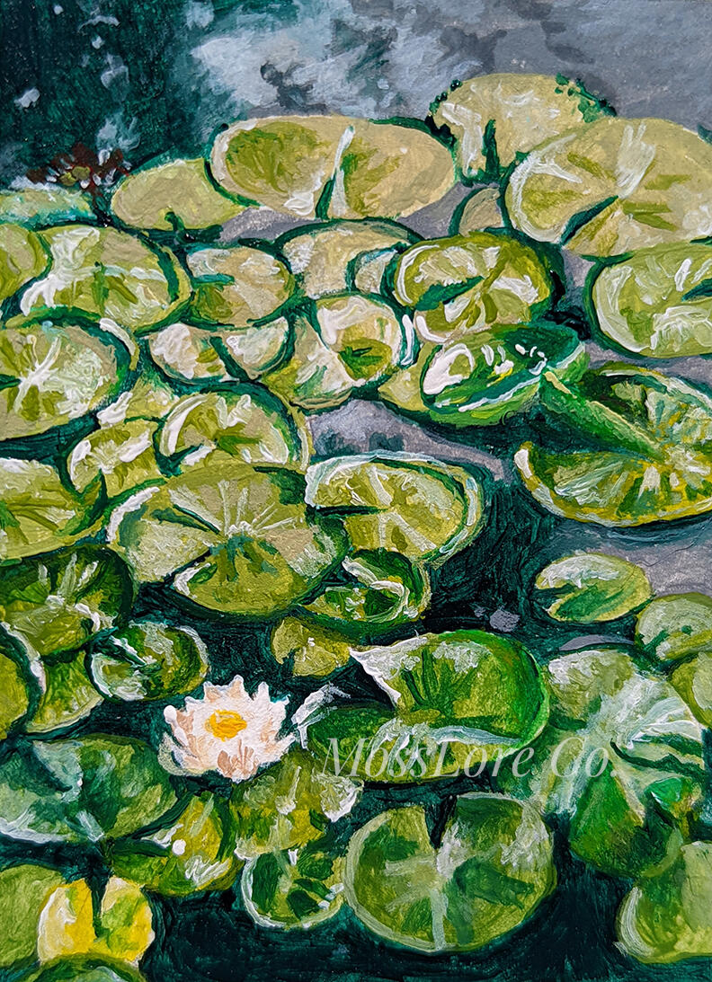Lilly Path: 3" x 4" Acrylic on watercolor paper